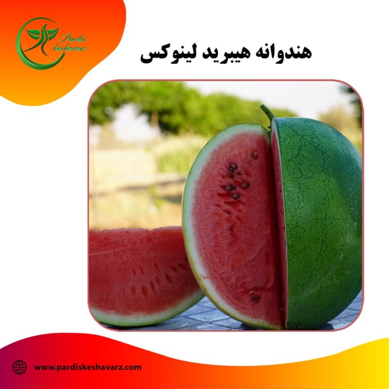 بذر هندوانه هیبرید لینوکس