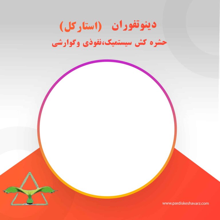 دینوتفوران (استارکل)