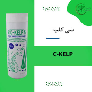 سی کلپ  جلبک دریایی