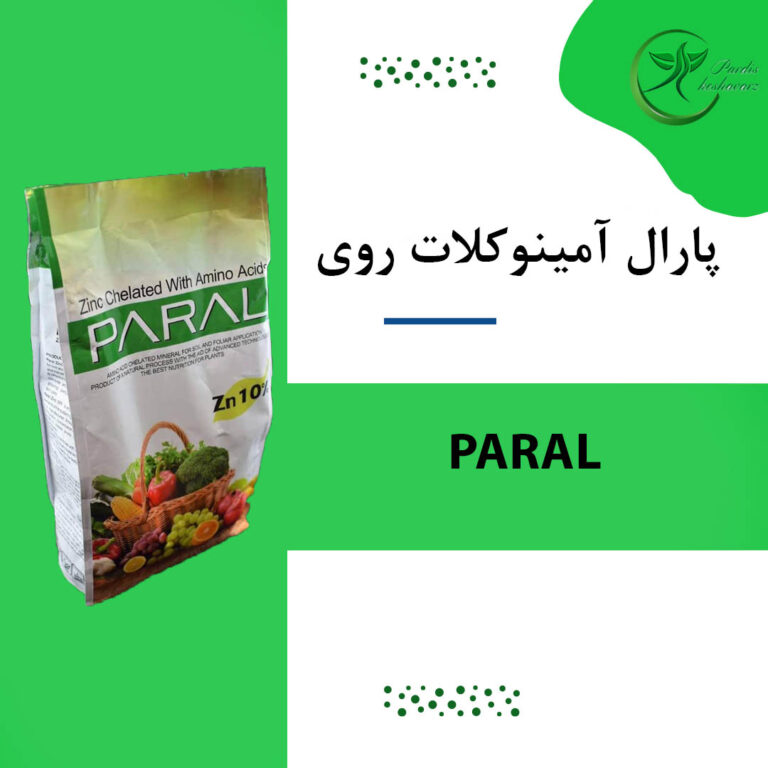 پارال آمینوکلات روی