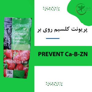 پريونت کلسيم روي بر