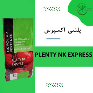 پلنتي  اکسپرس