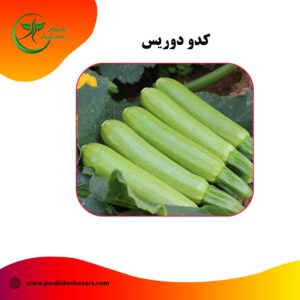 کدو دوریس