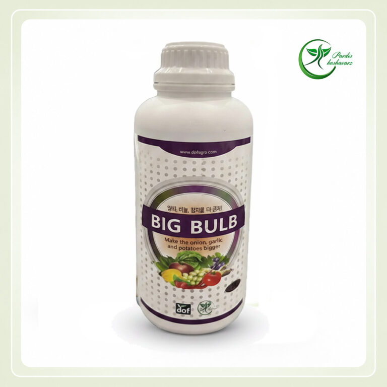 کود بیگ بالب BIG BULB | توسعه و افزایش سایز غده پیاز و سیر