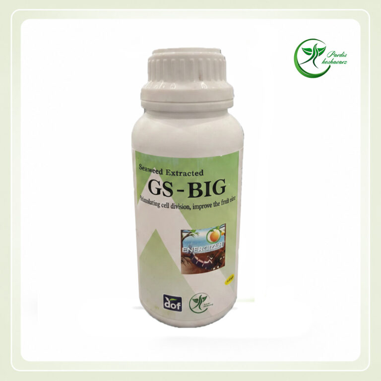 کود جلبک دریایی GS-BIG | افزایش سایز میوه و تقویت گلدهی